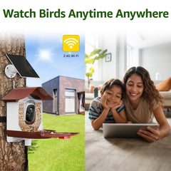 PeckCam - identif IA oiseaux jusqu a 10000 especes