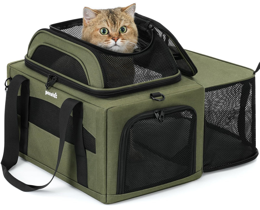Pecute transporteur extensible avec extension haut pour plus d'espace en voyage.