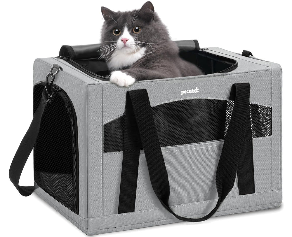 Pecute chat-carrier cadre stable – trajets calmes et sûrs.