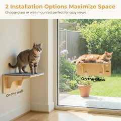 Étagère murale pour chat Pecute avec ventouse, installation flexible et sûre.