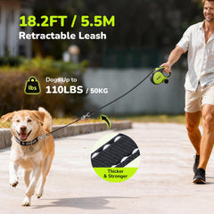 Extension anti-morsure Pecure de 1,6 pieds pour plus de durabilité lors des promenades.