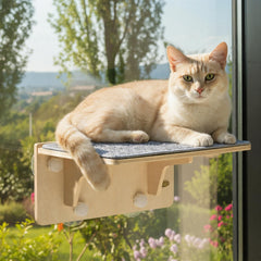 Hamac Pecute pour chat près de la fenêtre, repos confortable près de la lumière.