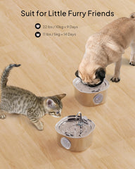 PEKTACO grande capacité 3,2 L adaptée à plusieurs chats et jours entre remplissages.