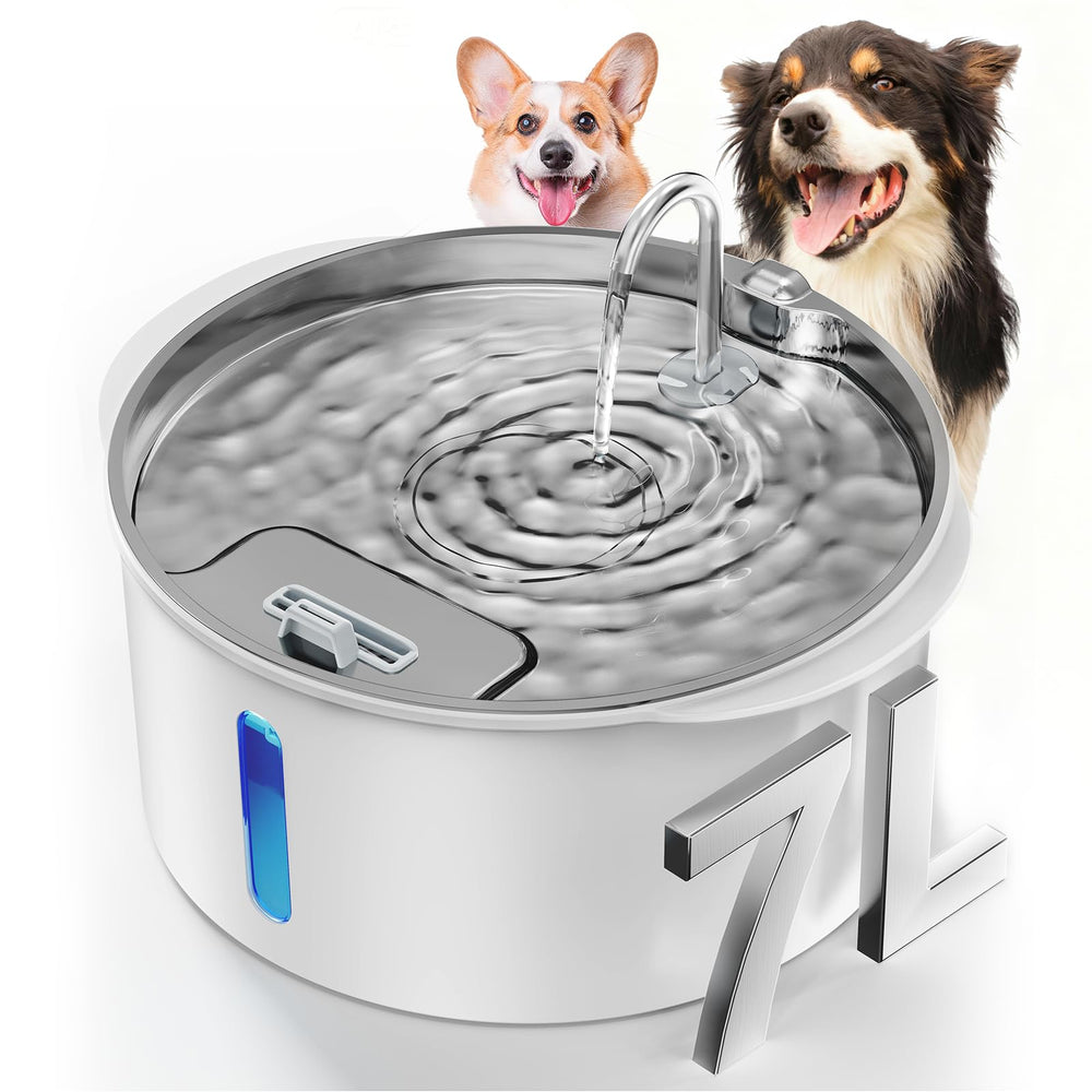 PEKTACO fontaine eau chien grand 7L vue d ensemble, capacité généreuse.