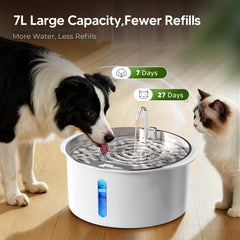 PEKTACO fontaine eau chien grand fenetre niveau, vérification rapide du niveau d eau.