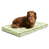 PELZIN Stoutwool, tapis-chien-indestructible: résistance élevée contre morsures et griffures