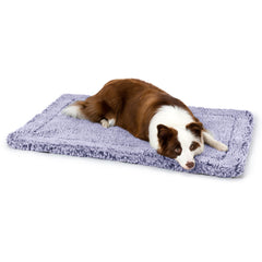 PELZIN Stoutwool tapis-chien indestructible dans cage 36 pouces.