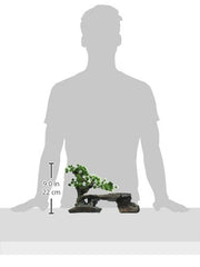 Penn-Plax Bonsai-arbre-sur-roches: décor durable pour terrarium et aquarium.