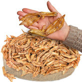 Friandise Peppy Dog pattes de canard croustillantes pour l'hygiène dentaire