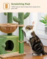 PEQULTI arbre chat cactus 4-en-1, hamac confort pour sieste relaxante.
