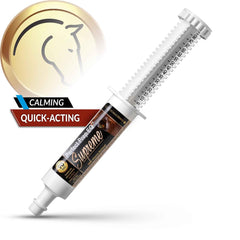 Application de Perfect Products EQ Supreme Paste sur le cheval, utilisation rapide et pratique