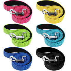 Laisse Perthlin en nylon 5 pieds pour chien moyen/grand, légère et fiable.