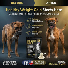 PET CARE Sciences – doseur-poudre-chien, outil pratique pour doser quotidiennement