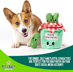 Bocal de 9 pouces – la marque Pet Craft Supply – peluche pour jeu varié et durable.