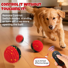 Boule Pet Deluxe à roulement automatique pour divertir votre chien sans effort.