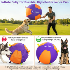 Pet Deluxe poignees-colorées-6 offrent une prise facile pour lancer et attraper.