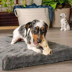 Pet Factory boeuf américain noeud 4-5 pouces: distraction saine pour chien