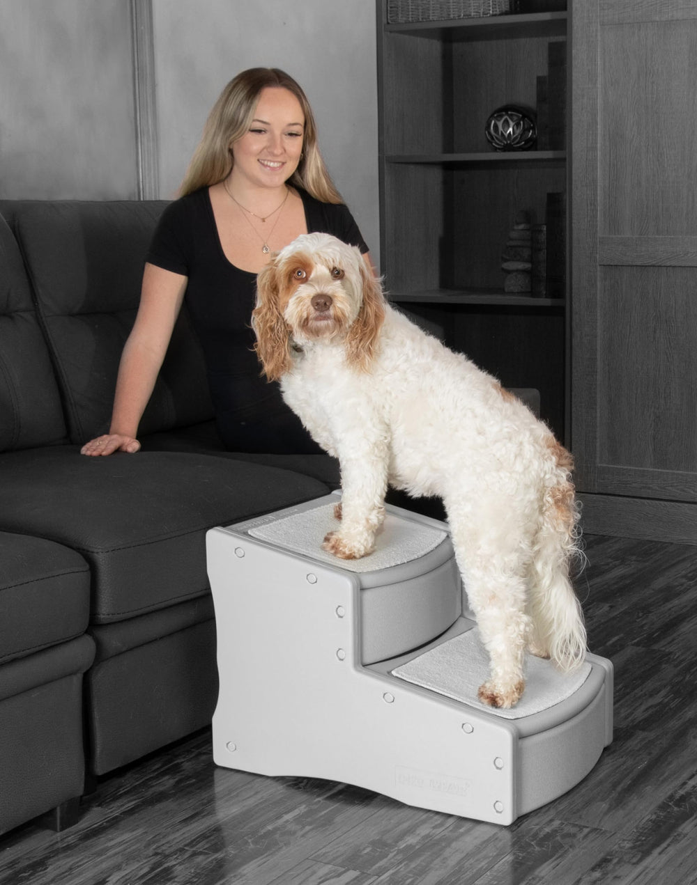 Escaliers Pet Gear Easy Step II pour chien et chat, stabilité et confort