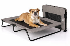 Lit-cot Pet Gear Lifestyle surélevé pour animaux en intérieur avec ventilation.