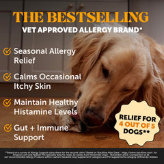 Pet Honesty Allergy Skin Health – probiotiques pour digestion équilibrée et immunité potentielle.