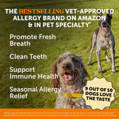 Pet Honesty Allergy Support Fresh Dental Sticks — mastic chien haleine fraîche potentielle