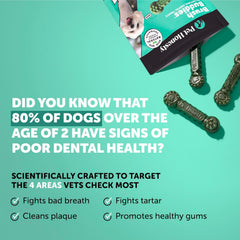 Pet Honesty Brush Buddies bâtonnet dentaire – combat plaque et tartre.