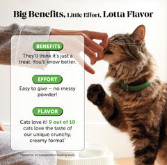 Pet Honesty chat probiotiques - après antibiotiques, soutien intestinal