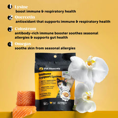 Friandise Pet Honesty Lysine appréciée par le chat pour une routine immunitaire.