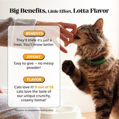 Ingrédients clés Lysine, Quercétine et Colostrum pour soutenir la santé générale du chat.