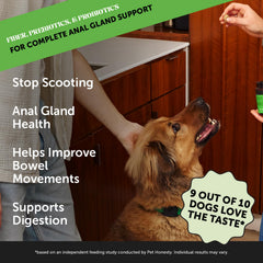 Pet Honesty comprimés doux, faciles à mâcher pour chiens.