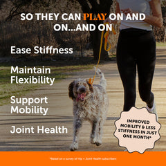 Texture des gommes Pet Honesty Hip et Joint pour une routine quotidienne agréable