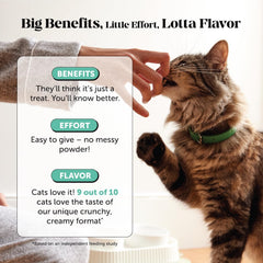 Pet Honesty Poudre Dentaire Chat – gencives saines soutenues par la formule.
