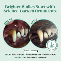 Poudre dentaire Pet Honesty avec doseur inclus pour doser l’apport idéal.
