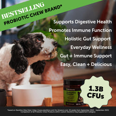 Pet Honesty prébiotiques poudre digestion, mélange facile dans la gamelle.