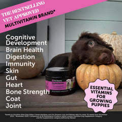 Probiotiques Pet Honesty pour chiot, soutien digestion et immunité.