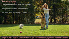 Pet Wrangler 2.0 – connecteurs aluminium renforcés garantissant durabilité et solidité.