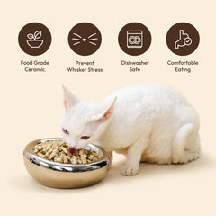 Pet JoJo bol-plat-large-confort, idéal pour alimentation en douceur.