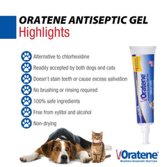 Animal domestique détendu après l’application du gel Oratene.
