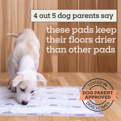 Smart Prints: absorption élevée jusqu'à 6 tasses pour chiots et chiens.