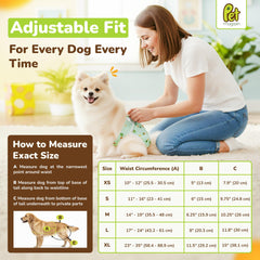 PET MAGASIN couches à absorption élevée pour chien femelle, sécurité et propreté.