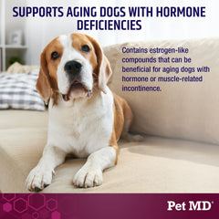 Pet MD Soutien Urinaire Plus Canneberge – dosage quotidien pour chiens, confort urinaire.