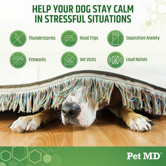 Pet MD friables calmants – Chiens en main, administration facile.