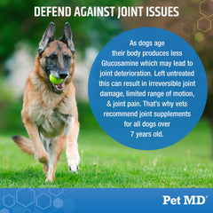 Pet MD Glucosamine pour chiens: formule renforcée avec chondroïtine et MSM pour le confort articulaire.