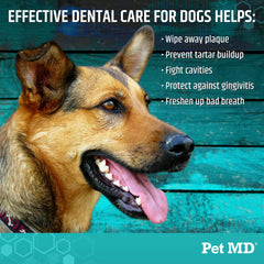 Lingettes Pet MD texture dent chien — nettoyage efficace