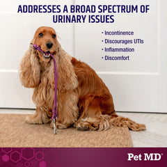 Pet MD Soutien Urinaire Plus Canneberge – boîte 60 comprimés, utilisation pratique.