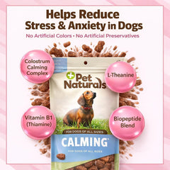 Chien détendu après jeu grâce aux friandises calmantes Pet Naturals.