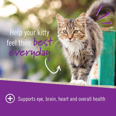 Pet Naturals Daily Multi : ingrédients et nutriments essentiels pour les chats.