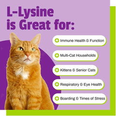 Pet Naturals Lysine Soft Chews saveur poulet foie, ravissent les chats et soutiennent le bien-être.