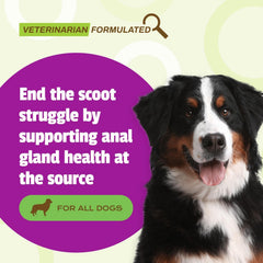 Scoot Bars Pet Naturals barre au canard, friandise savoureuse pour le système digestif.