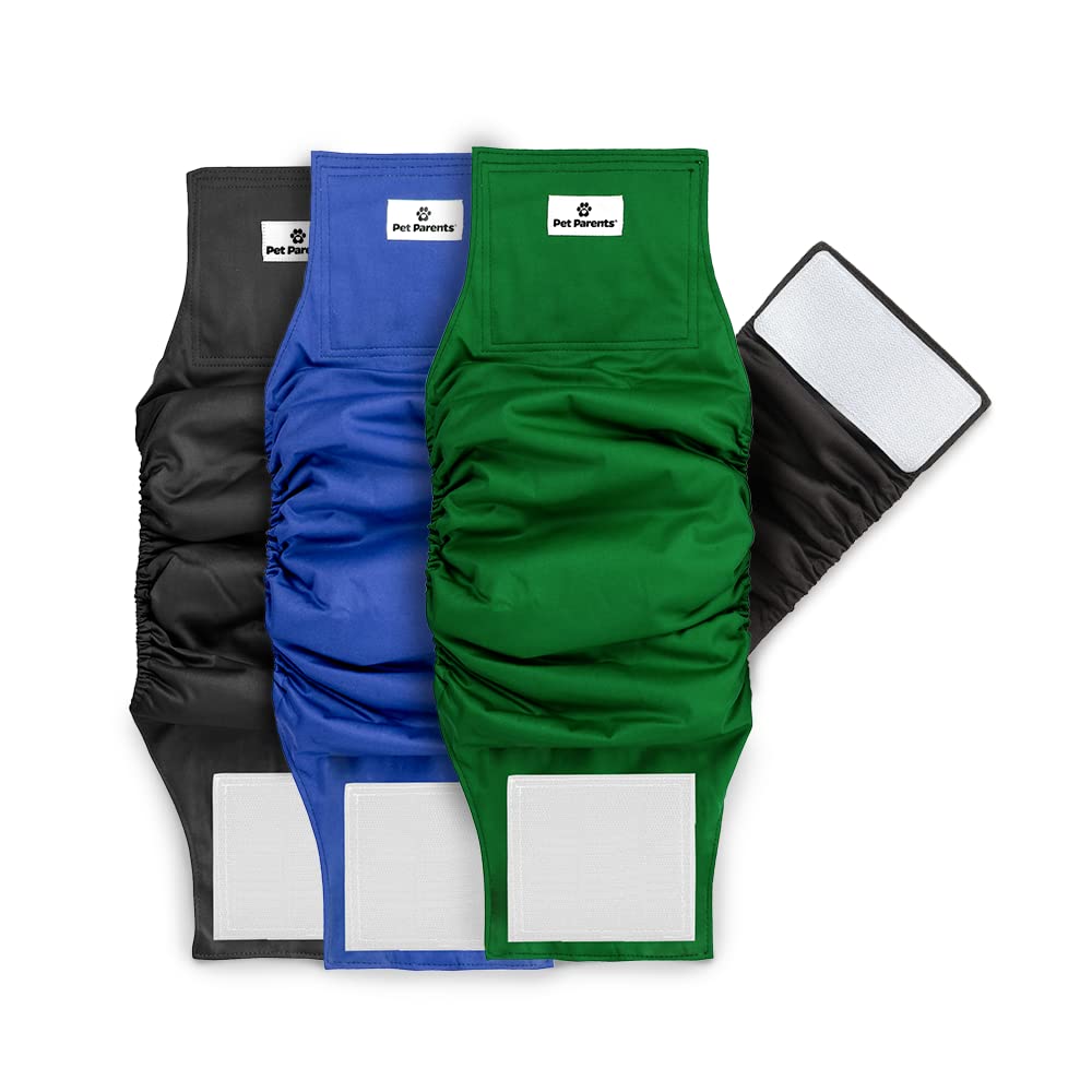 Bandes abdominales lavables Pet Parents, ensemble de 3, pour chiots et petits chiens.